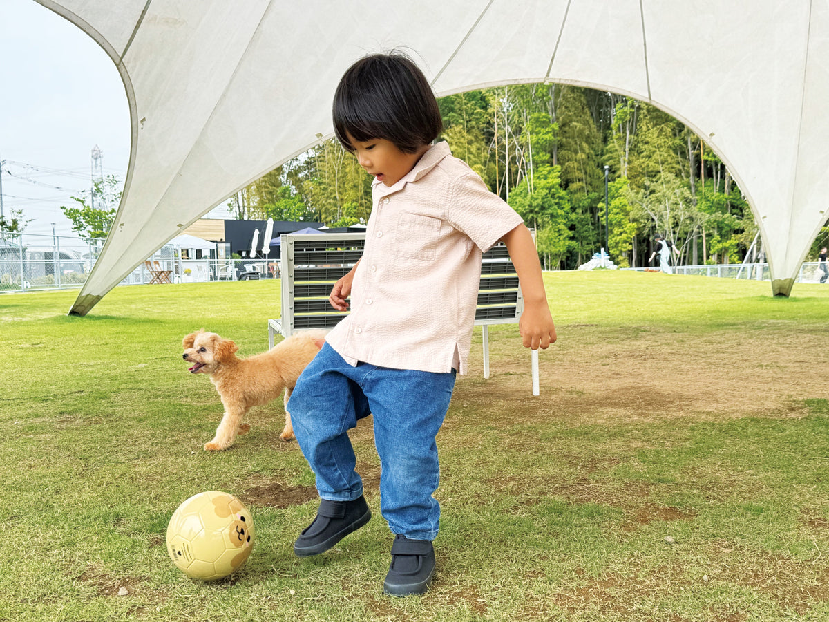 FOOTBALL ZOO プードル/SFIDA(スフィーダ)