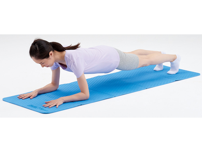 EVAキャリーマット(折畳みマット)/DANNO