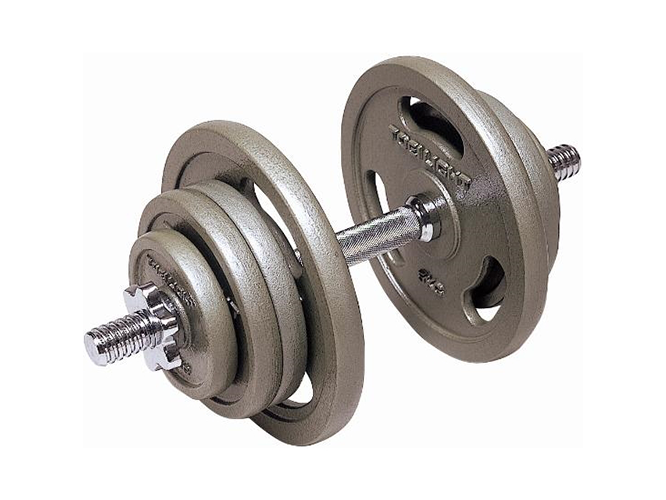 バーベルプレートダンベル/TOEI LIGHT