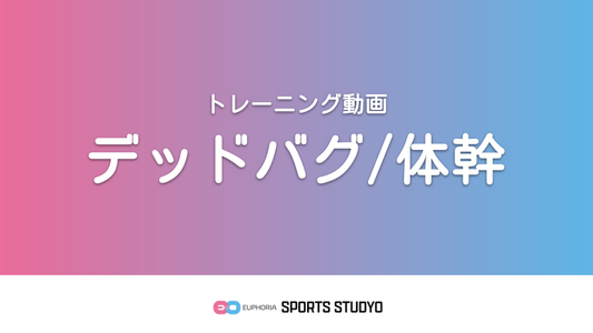【トレーニング実践】デッドバグ/体幹｜2分21秒