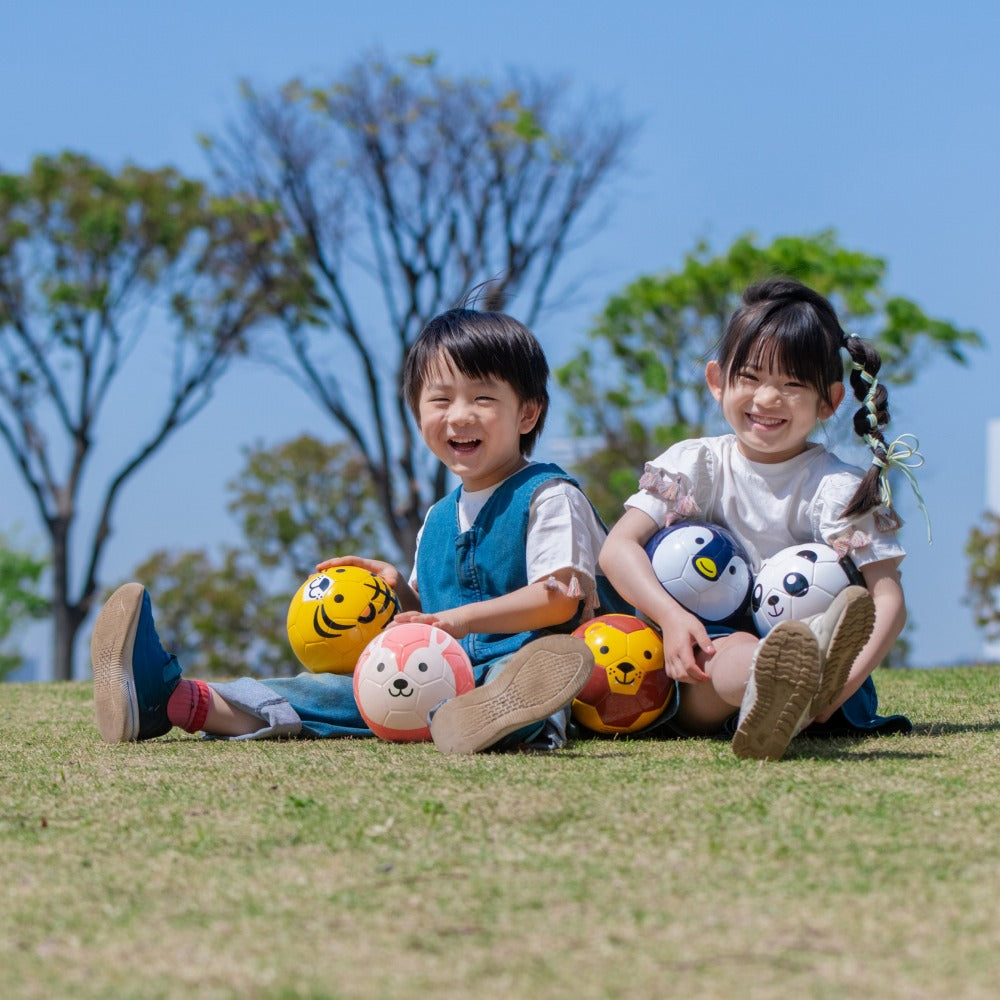 FOOTBALL ZOO ライオン／SFIDA（スフィーダ）