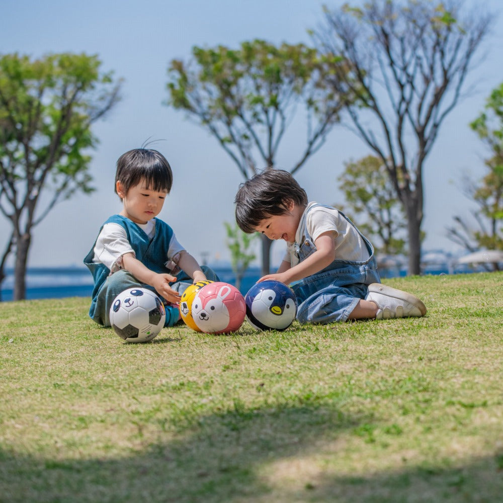 FOOTBALL ZOO ペンギン／SFIDA（スフィーダ）