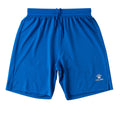 ロイヤルブルー