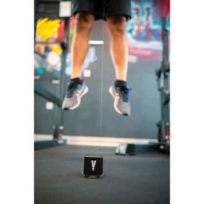 VITRUVE 標準セット