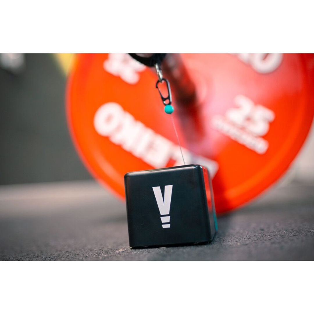 VITRUVE 標準セット