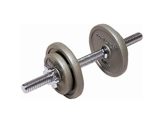 バーベルプレートダンベル／TOEI LIGHT