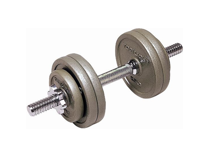 バーベルプレートダンベル／TOEI LIGHT