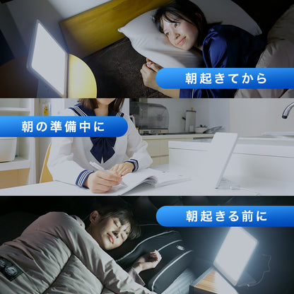 トトノエライトプレーン