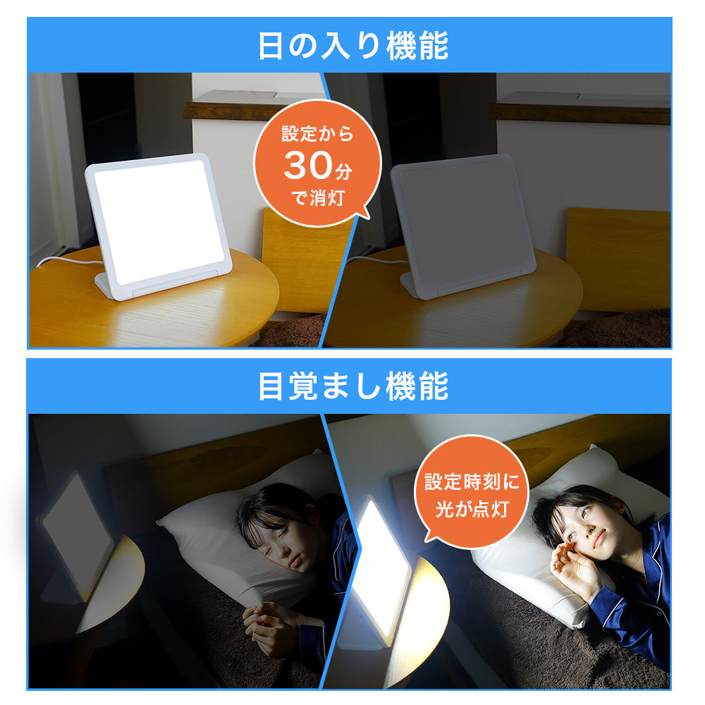 トトノエライトプレーン